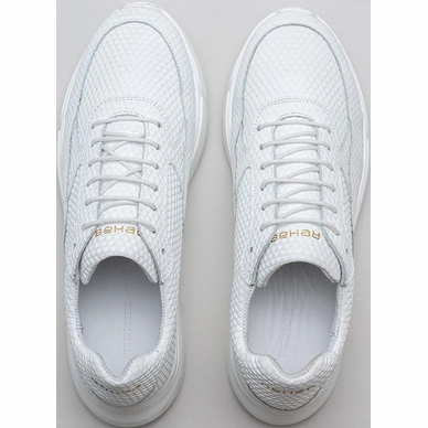 hedley-triangle-0700-wht_top
