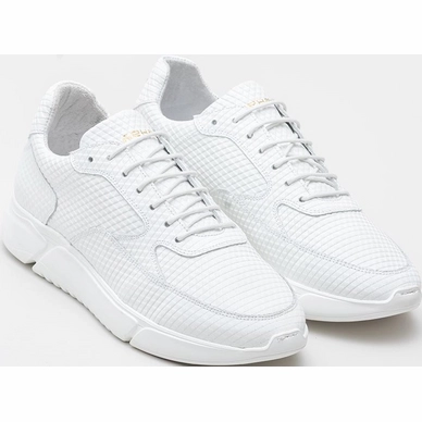 hedley-triangle-0700-wht_voor
