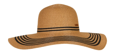 Hat Protest Women Prtsummer Coconut