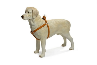 Hondentuig Beeztees Mac Leather Bruin