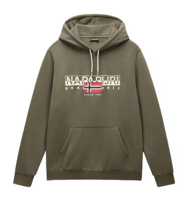 Hoodie Napapijri Men B-Aylmer Winter Tea Leaf