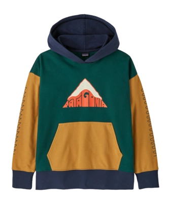 Hoodie Patagonia Kids Hoody Sweatshirt Driftways: Cascade Green