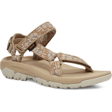 Hurricane XLT2 pampas starfish 2
