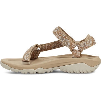 Hurricane XLT2 pampas starfish 3