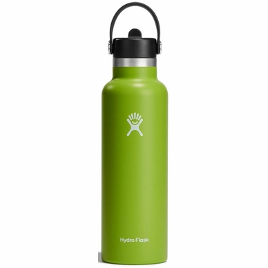 Bouteille Isotherme Hydro Flask Standard Flex Straw Cap Seagrass 621 ml