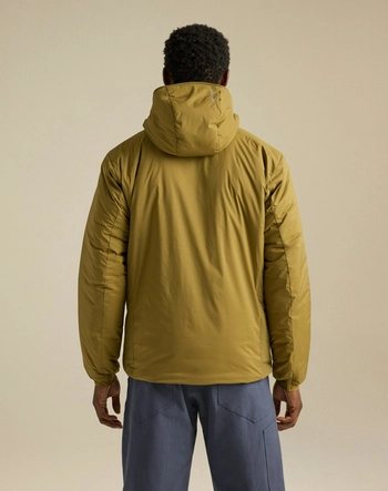 2---F26-X000009902-Atom-SV-Hoody-Bracken-Back-View