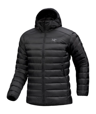 Jacke Arc'teryx Cerium Hoody Herren Black Black