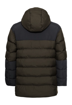 9---A66206_E0205_9-a120-icy-hollow-hooded-jkt-m-obsidian-moss-_no-bg