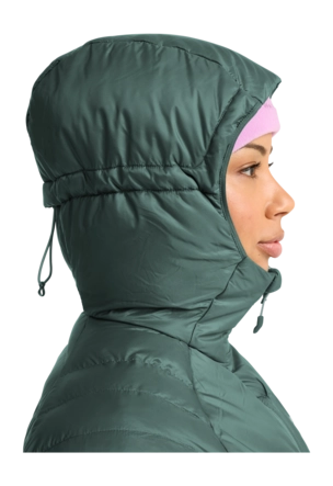9---A66386_E0271_4-ma131-routeburn-pro-ins-parka-w-sago-palm-_no-bg