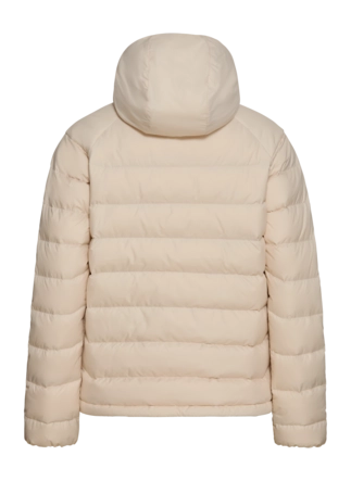 9---A66374_A0084_9-a120-wild-pass-down-hoody-w-rds-oyster-_no-bg
