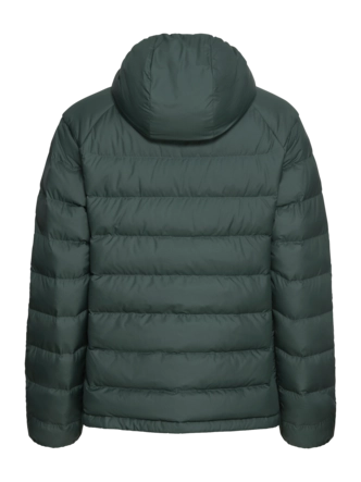 3---A66374_E0271_9-a120-wild-pass-down-hoody-w-rds-sago-palm-_no-bg