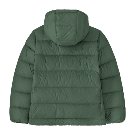 2---68645_CNGR_ALTBACK-_no-bg