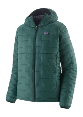 Jas Patagonia Men Micro Puff Hoody Cascade Green