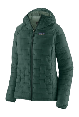 Jas Patagonia Women Micro Puff Hoody Cascade Green