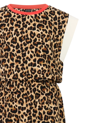 3---24961002_808_detail