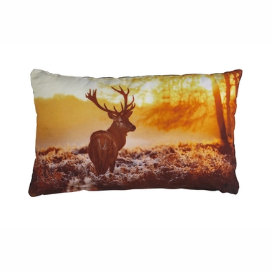 Sierkussen KAAT Sunny Deer Terra (30 x 50 cm)