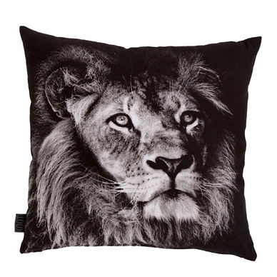 Sierkussen Kaat Lion Black
