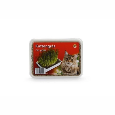 Kattengras Plastic Box Beeztees 130 gram