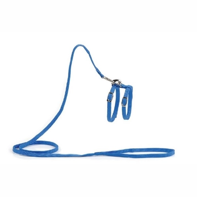 Kattentuigje Beeztees Nylon Blauw