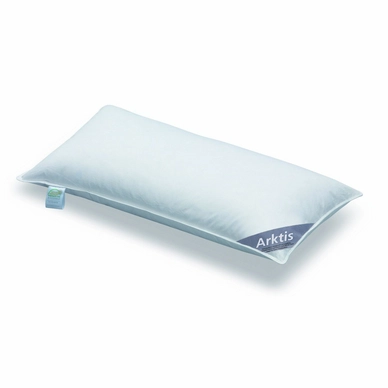 Spessarttraum Arktis Daunenkissen Extra-weich (40x80cm)