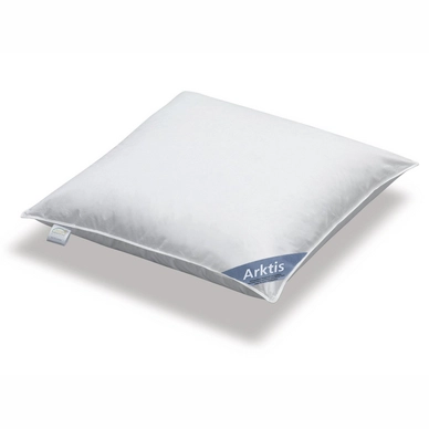 Spessarttraum Arktis Kissen Mittel (80x80cm)