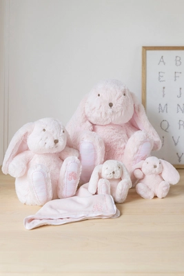 6---FAMILLE_AUGUSTIN_ROSE_1