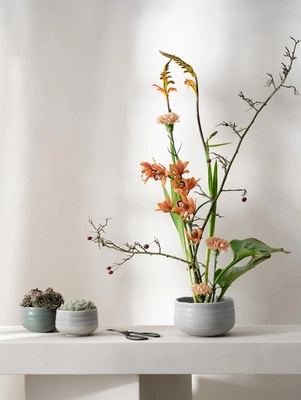 2---Moribana-ishi-matsu_4efb7214-7344-410f-a2bb-182f6d42ee6a