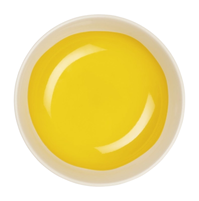 Kom ASA Selection Variété du Soleil Le Soleil 12 cm