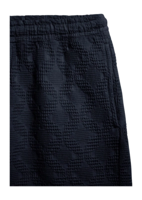 Ryan_ELVINE_shorts_dark_navy_reference_2
