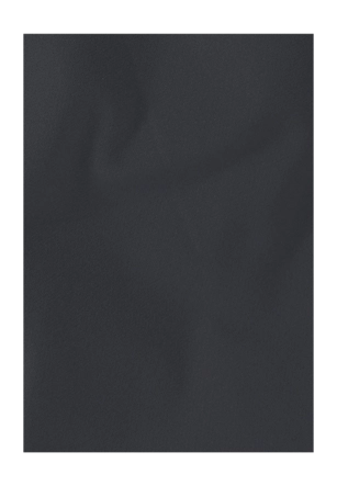 9---A65966_6350_9-a130-pico-shorts-m-phantom-_no-bg