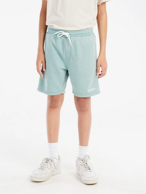 5---22851000_486_model_front-half_01
