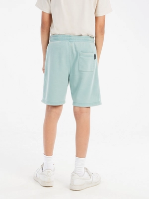 7---22851000_486_model_back-half_01