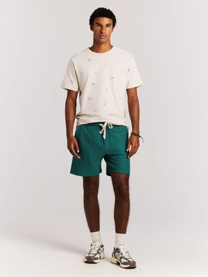 4---23751012_586_model_front-full_01