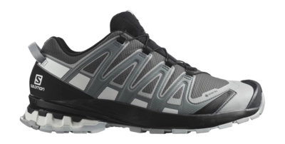Trailrunning-Schuhe Salomon XA Pro 3D V8 GTX Herren Magnet Stormy Weather White