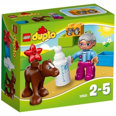 Kalfje Lego Duplo
