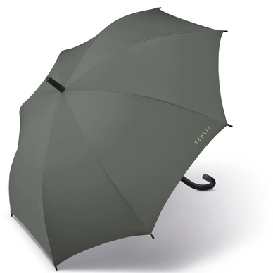 Paraplu Esprit Long AC Sage