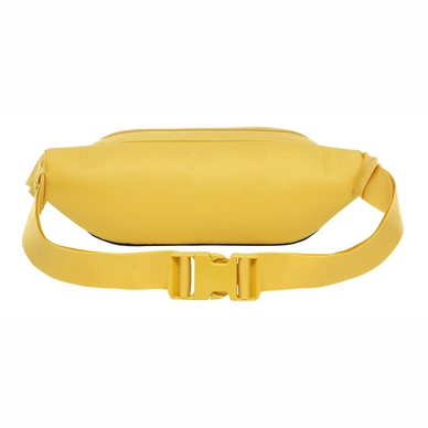 lumbar yellow 2