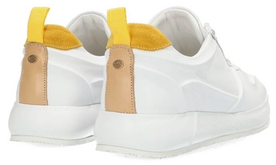 medium-101010213 6_White Yellow_2101_3