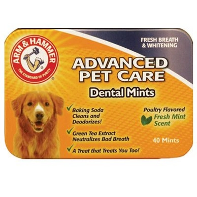 Dental Mints Arm & Hammer