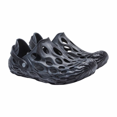 MRLM-J48595-021621-S21-004-_no-bg