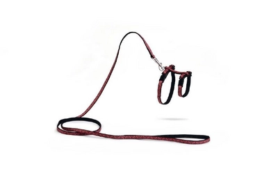 Kittentuig Beeztees Mystic Nylon Rood Zwart