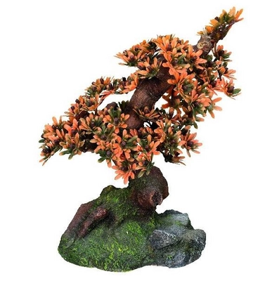 Aqua Deco Bonsai Boom Nobby Oranje