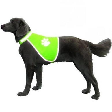 Veiligheidsvest Nobby Groen