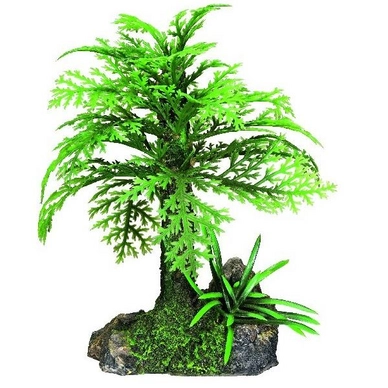Aqua Deco Tropische Boom Nobby