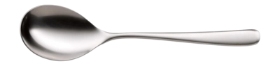 Opscheplepel WMF Vision 25 cm