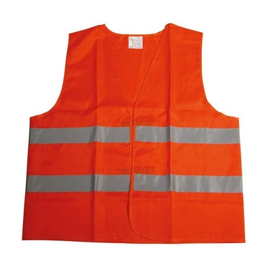 Veiligheidsvest Carpoint Oranje