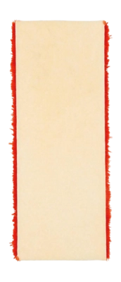 4---2_12171200-VervangwisserVoorVloerwisser2-2_30-_no-bg
