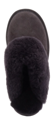 12---FLS321065_BA-_no-bg