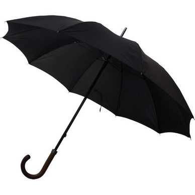Parapluie Pierre Cardin Easymatic 56/10