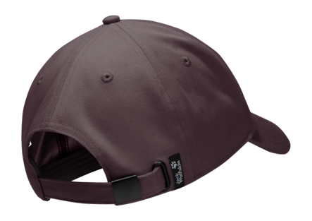 2---A65772_I0159_1-a290-celebrate-the-paw-cap-sheer-plum-_no-bg